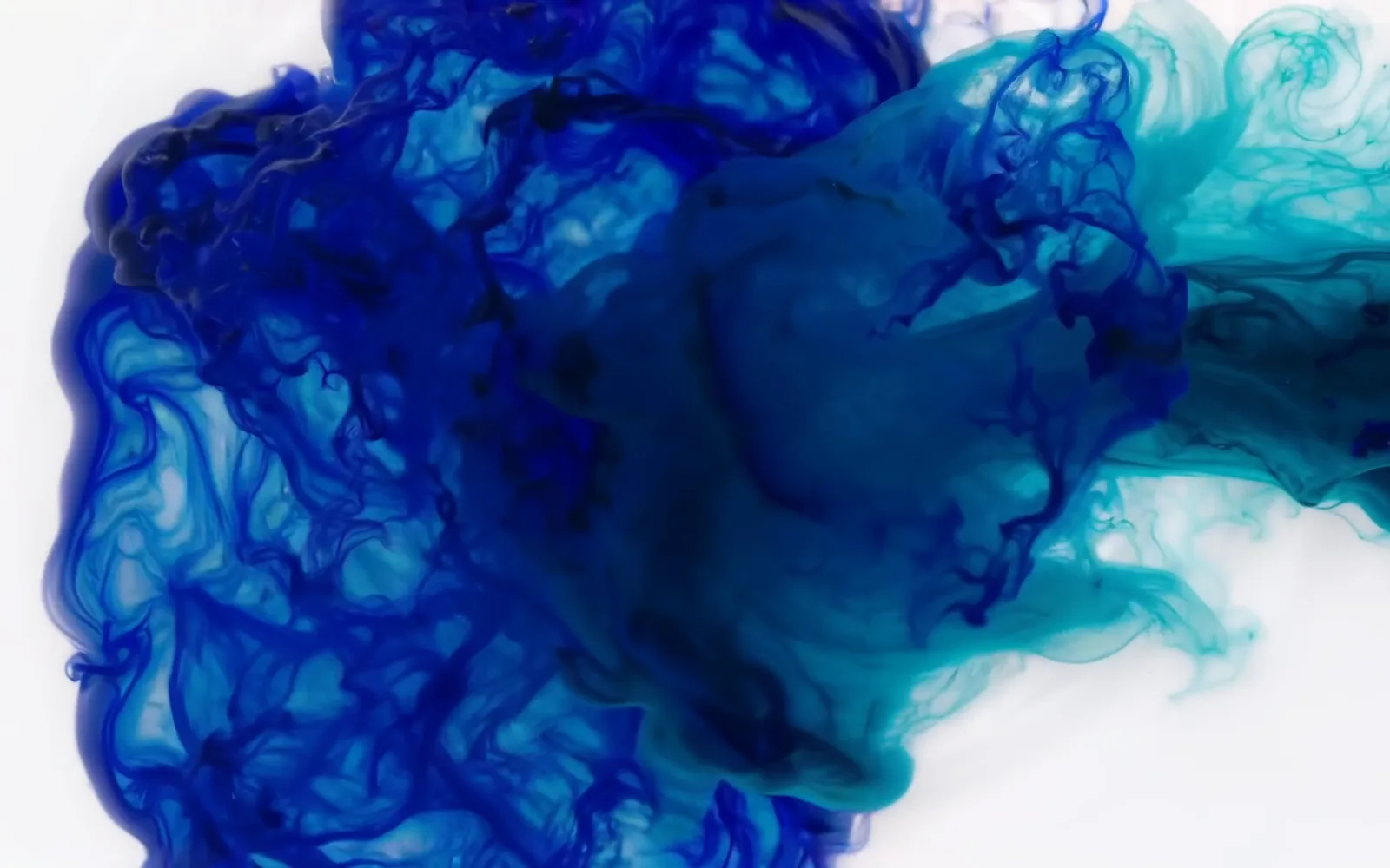 Indigo and teal ink plumes unfurling in clear water against a white background, a frame from an LTX 2.5 clip
